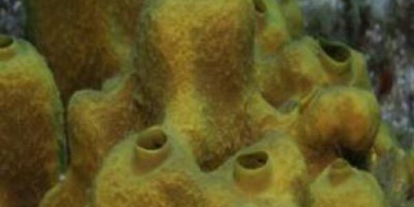 Article teaser image