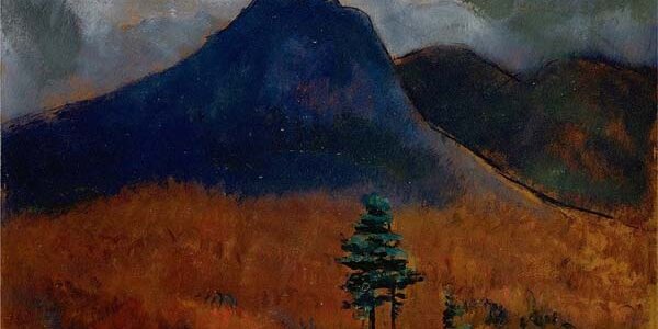 Article teaser image