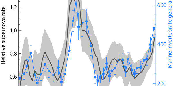 Article teaser image