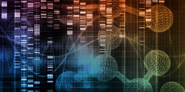 Article teaser image