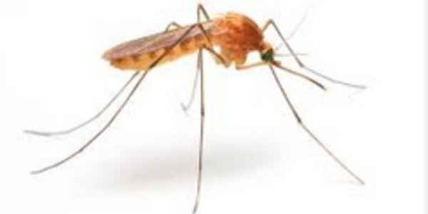 Article teaser image