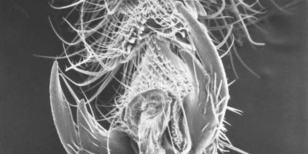 Article teaser image