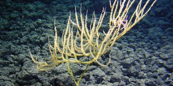 Article teaser image