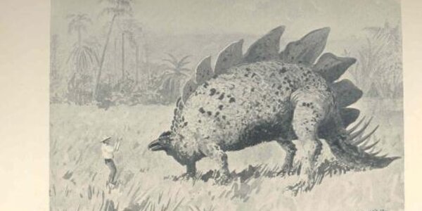 Article teaser image