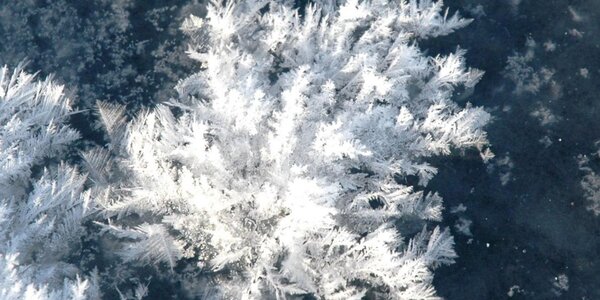 Article teaser image