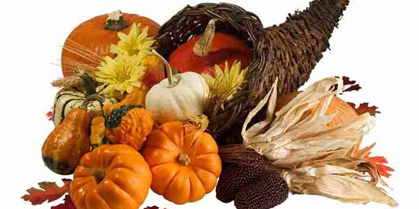 Article teaser image