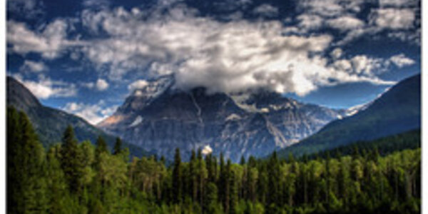 Article teaser image