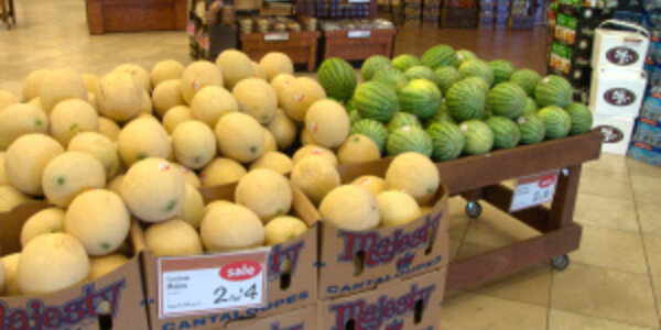 Article teaser image