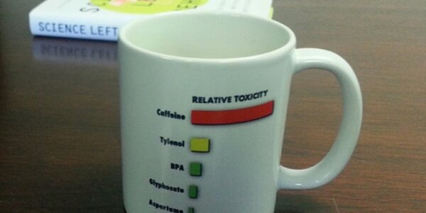 Article teaser image