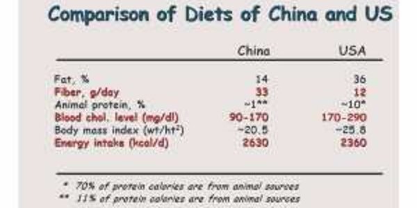 Article teaser image