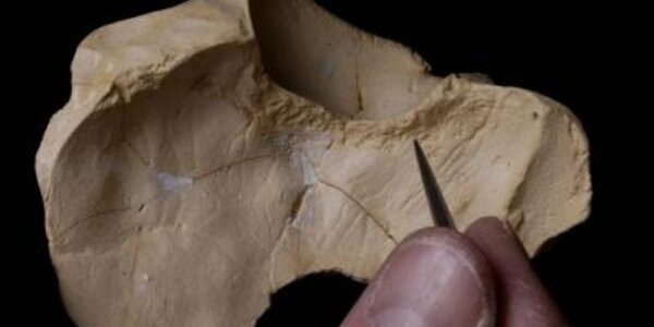 Article teaser image