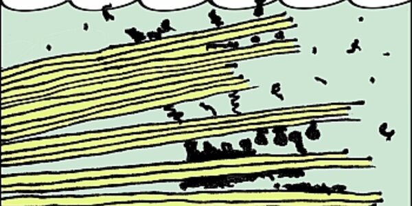 Article teaser image