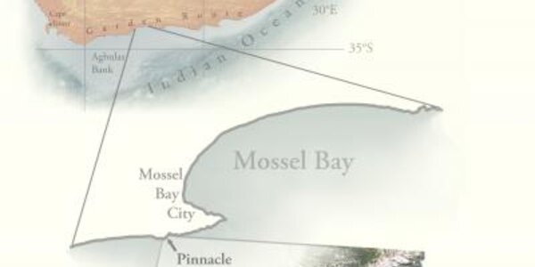 Article teaser image