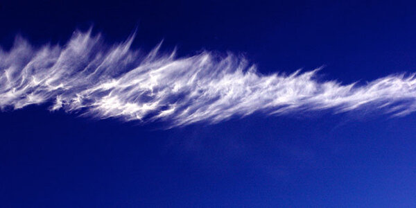 Article teaser image