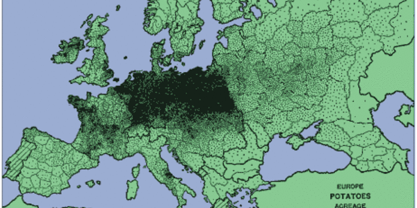 Article teaser image