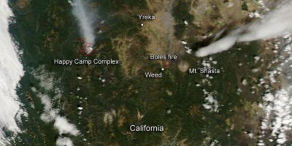 Article teaser image