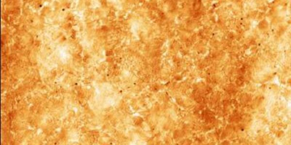 Article teaser image