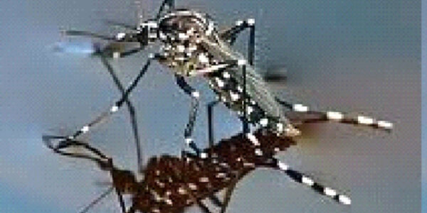 Article teaser image