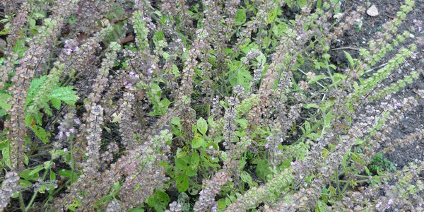 Article teaser image