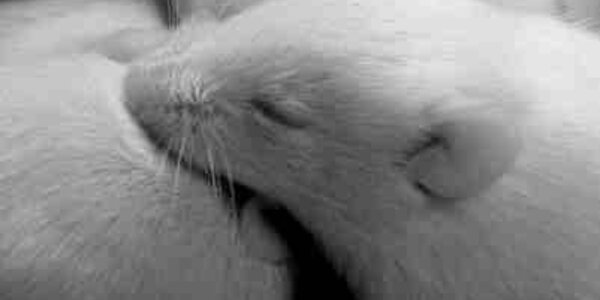 Article teaser image