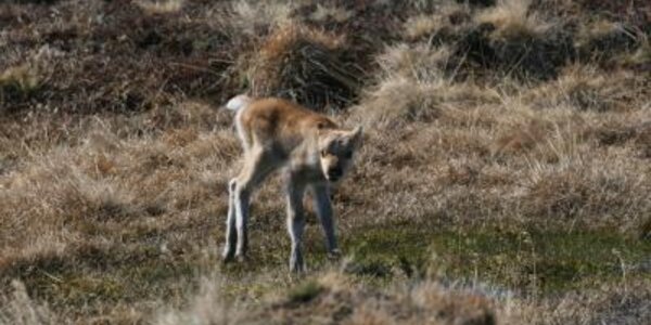 Article teaser image