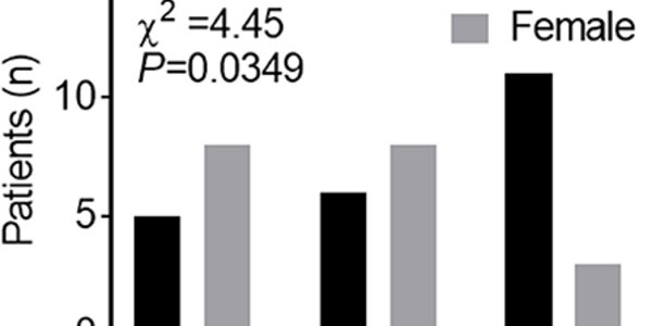 Article teaser image