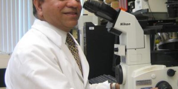 Article teaser image