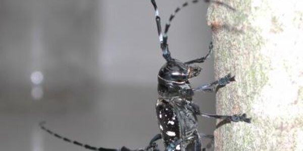 Article teaser image