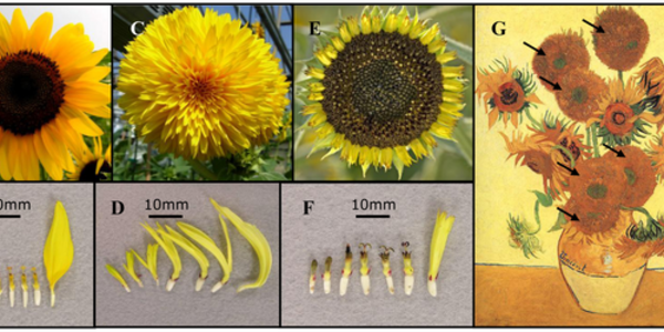 Article teaser image