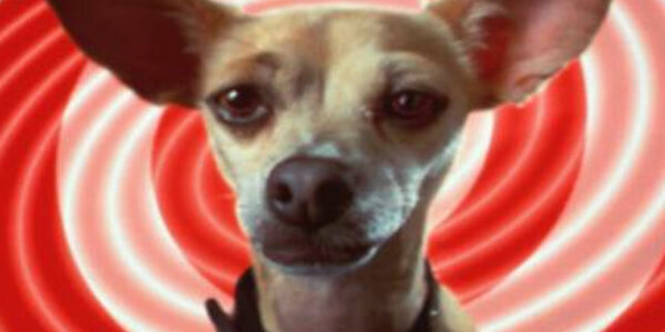 Article teaser image