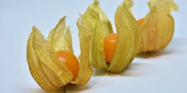 Article teaser image