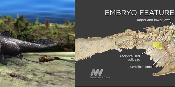 Article teaser image