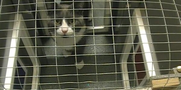 Article teaser image