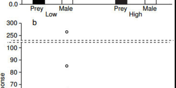 Article teaser image