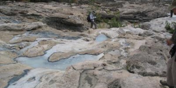 Article teaser image