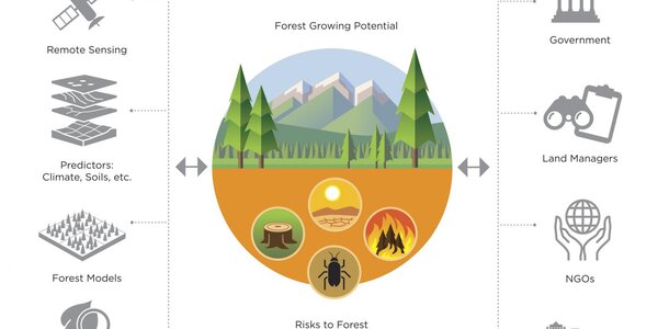 Article teaser image