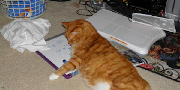 Article teaser image