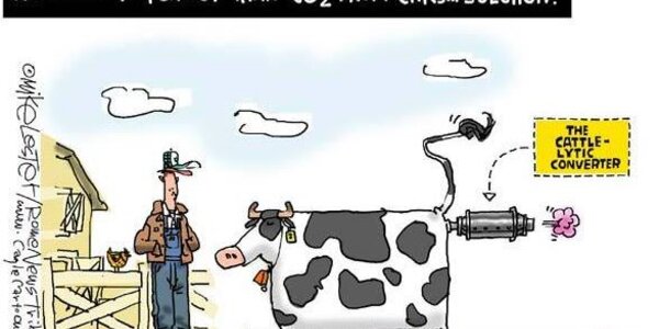 Article teaser image