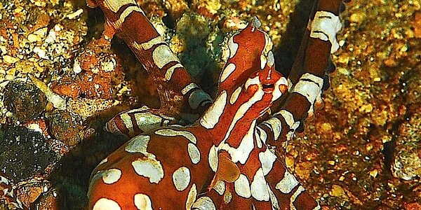 Article teaser image