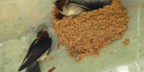 Article teaser image