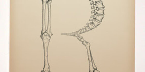 Article teaser image