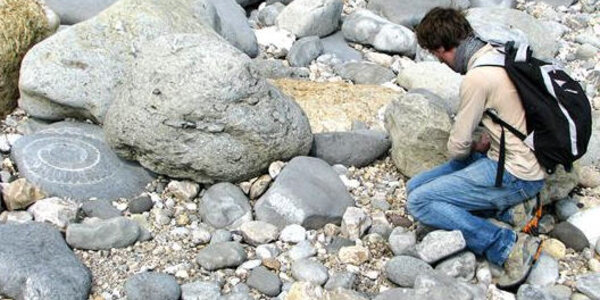 Article teaser image