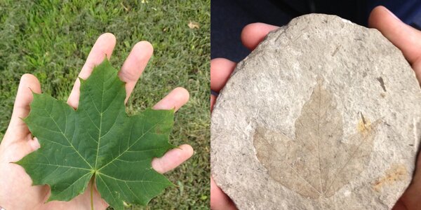 Article teaser image