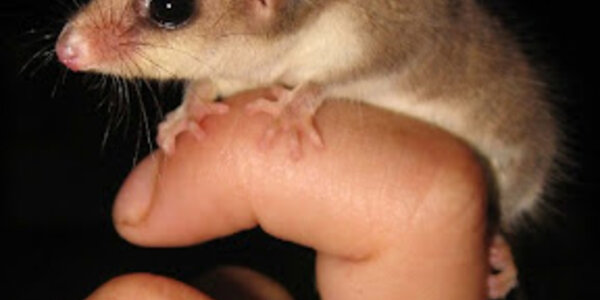 Article teaser image