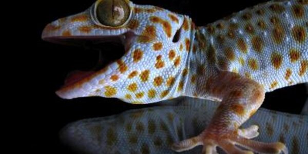 Article teaser image