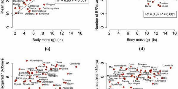 Article teaser image