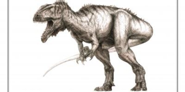 Article teaser image