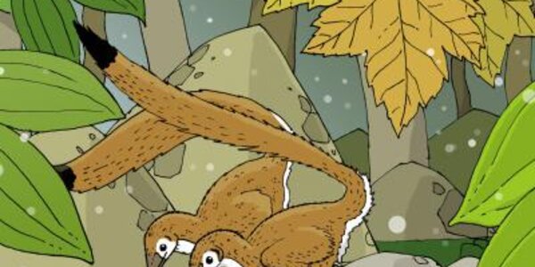 Article teaser image