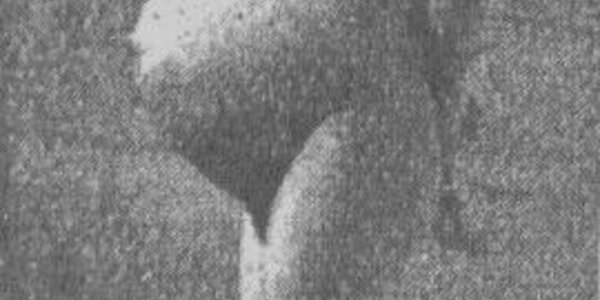 Article teaser image