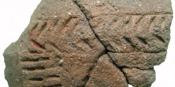 Article teaser image